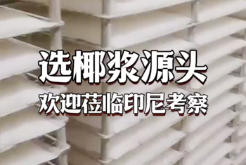 椰浆原料选源头！欢迎莅临印尼考察