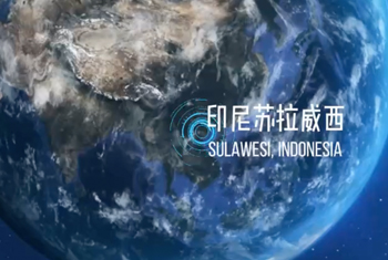 印尼源头工厂揭秘！