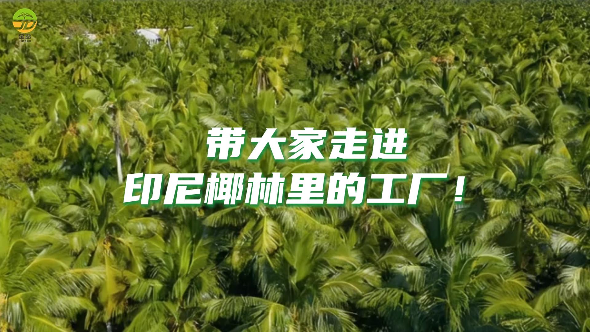 一起走进我们工厂看看吧！